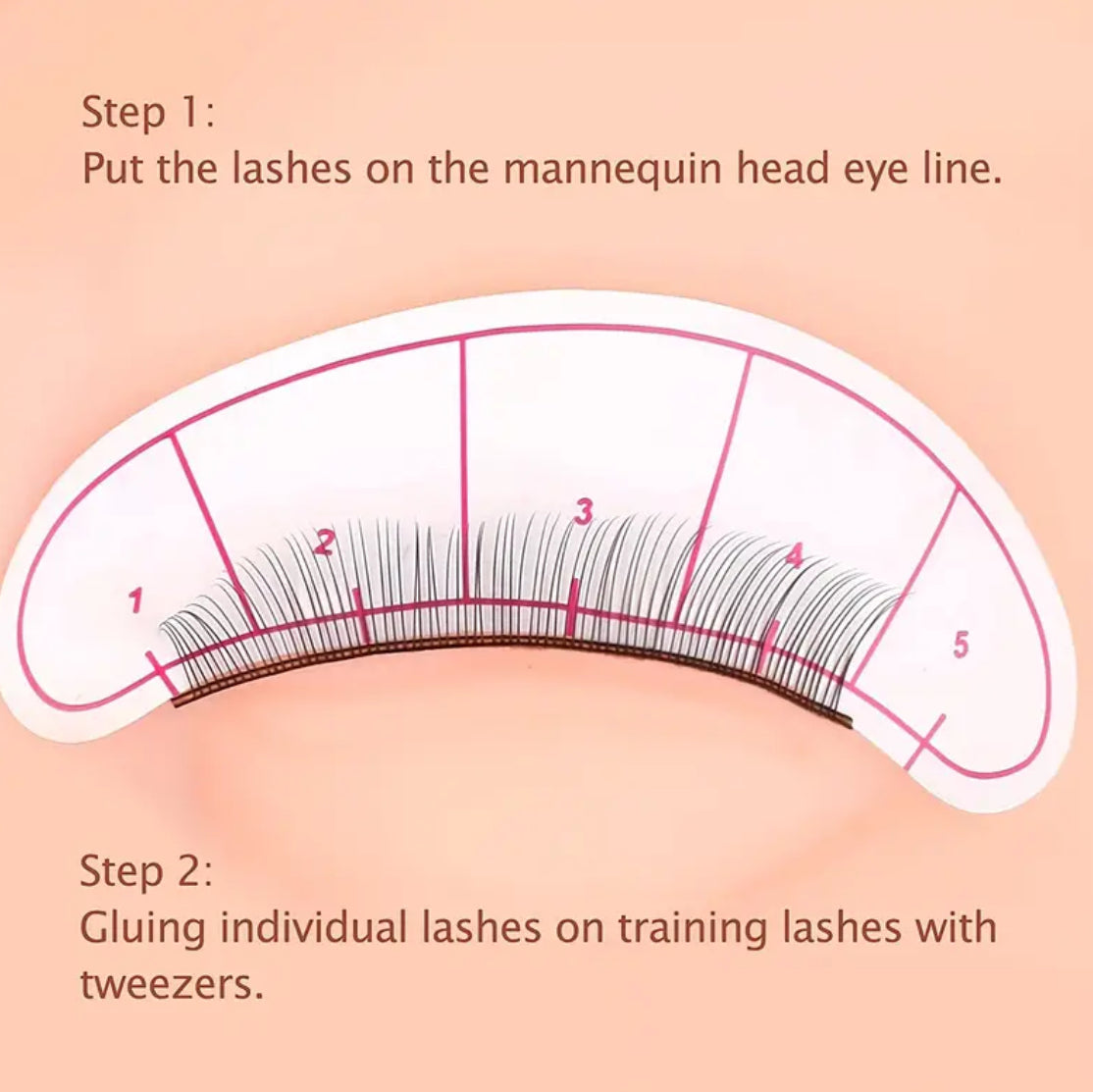 Eyelash Extension Training Kit