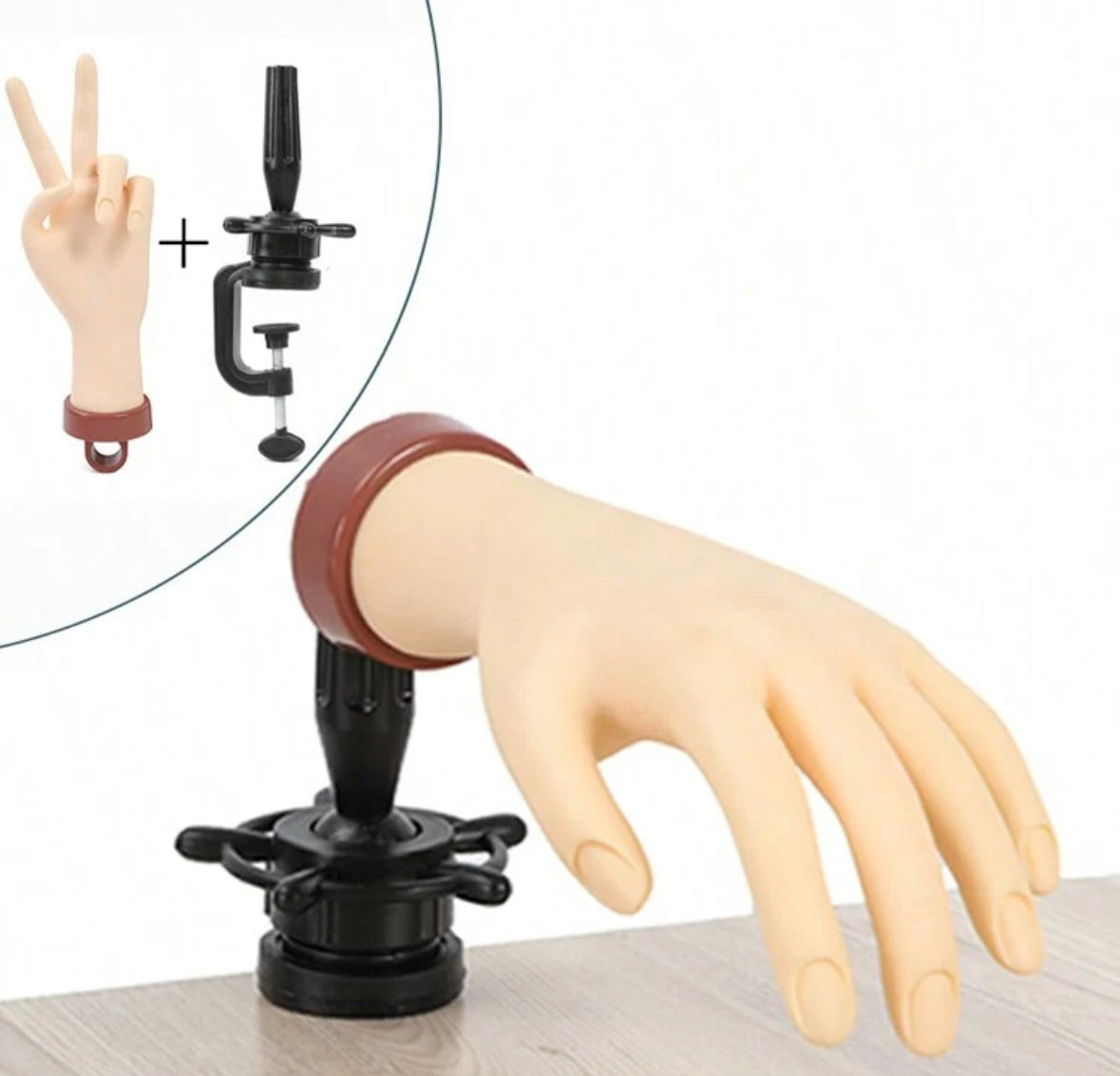 Flexible Silicone Practice Model Hand with Holder